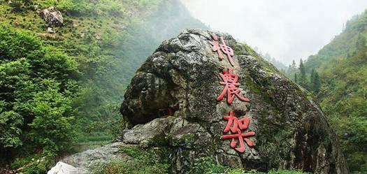 2011年,24岁女孩深夜惨死,现场发现44码鞋印,两任男友皆穿该码